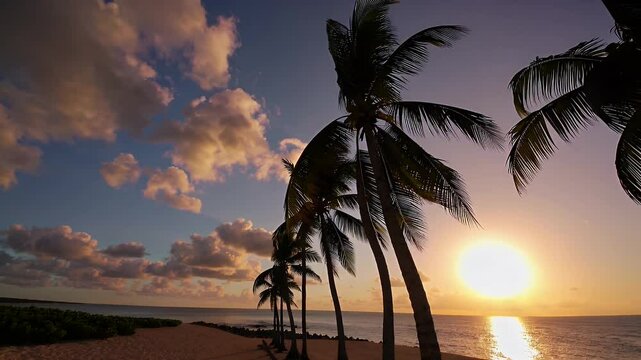 dramatic sunset view behind gently swaying palm trees along a tropical island shoreline  with ocean waves shimmering and soft clouds drifting in the sky as the coastal wind moves the tree crowns