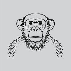 Dynamic Orangutan Sketch