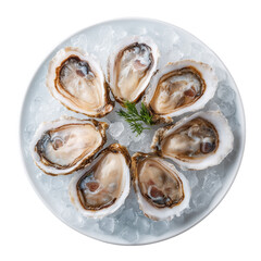 fresh oysters on a plate