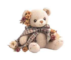 Teddy for Lingerie and Sleepwear - Isolated on White Background