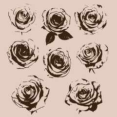 set of grunge isolated rose flowers vector design