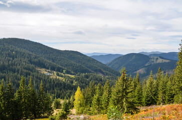 Beautiful landscape featuring a valley lined with vibrant green forests, rolling hills, and distant...