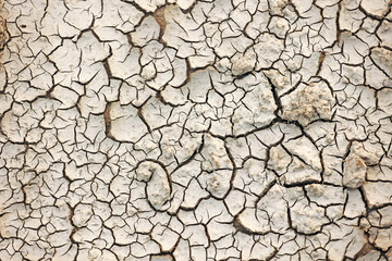 Cracked Earth Texture