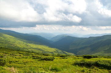 Obraz premium Serene view of mountainous valley with lush green slopes and soft clouds overhead. The scene exudes tranquility and showcases the natural beauty of untouched landscapes. Carpathians, Ukraine