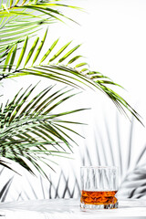 Enjoying rich scotch whiskey amidst vibrant palm leaves in a tropical setting on a warm afternoon