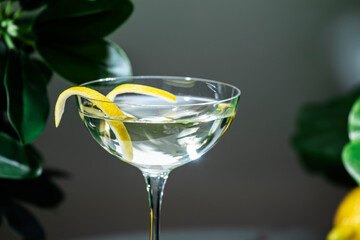 Refreshing martini cocktail garnished with lemon twist served in elegant glass