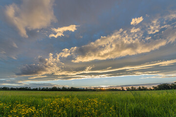 Colorful sunset over lush green field with dramatic clouds in the evening sky