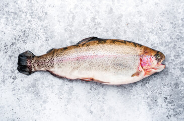 Fresh rainbow trout on grey table background, ready for cooking, top view