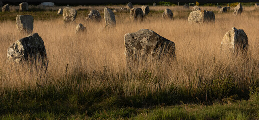 Ancient Stones in Carnac, France