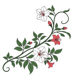 vector floral background