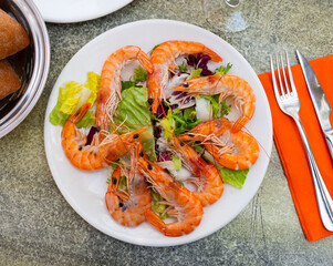 Delicious seafood shrimp with vegetable salad served on plate