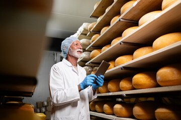 Senior cheesemaker in sterile clothing and hairnet holding tablet computer and checking ripening...