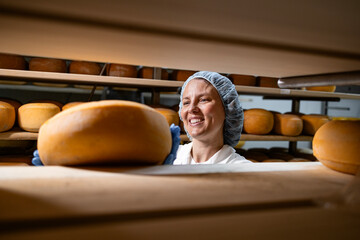 Female cheesemaker controlling quality and cheese ripening in dairy factory storage room. In...