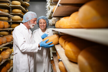 Experienced food technologists inspecting quality of cheese and ripening status.