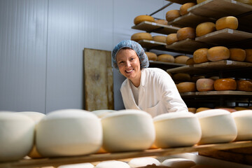 Portrait of smiling female cheesemaker making quality cheese wheels out of milk.