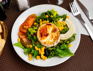 Goat cheese salad with vegetables, corn, olives, onion, balsamic sauce close up on plate. Balanced meal.