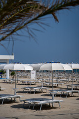 Beach Umbrellas and Lounge Chairs Against Blue Sky with Palm Fronds