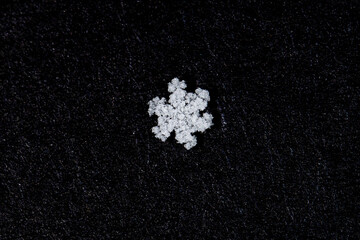 Snow Flake taken in southern MN
