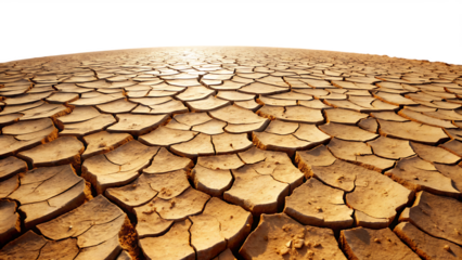 Cracked dry earth texture with deep fissures and sunlight casting shadows low angle view Ai isolated on a transparent background