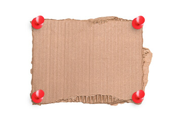 Rough cut cardboard piece held by red push pins isolated on transparent background PNG