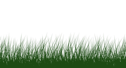 Close-Up of Green Grass Isolated on Transparent Background PNG
