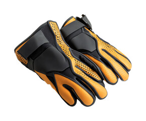 Workout Gloves for Protection and Fitness - Isolated on White Background