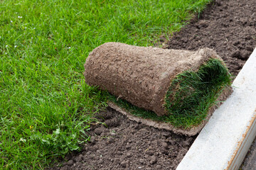 Rolled lawn or turf grass. Pre-grown grass mats for instant green coverage. Uniform sod rolls for efficient landscape work.
