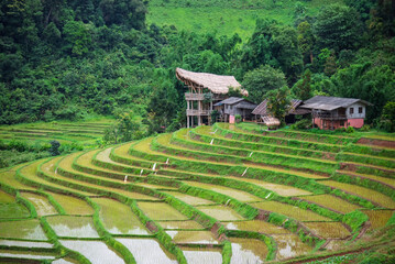 Pha Mon bamboo pink house the karen community Based Eco Tourism phamon Village Amphoe Chom Thong, Chiang Mai, Thailand
