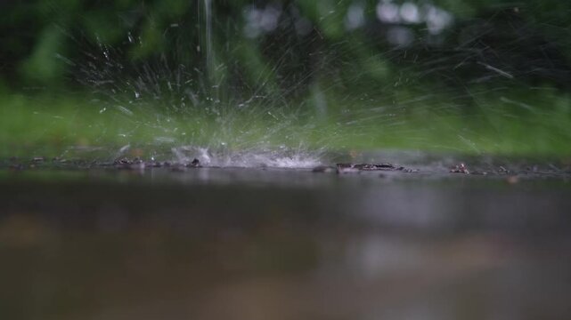 Water being poured onto an asphalt surface. Interaction between the liquid and the textured ground, highlighting splashes, ripples, and the reflective nature of wet asphalt. 