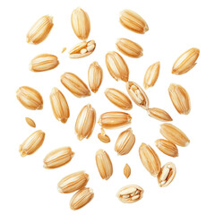 Obraz premium Wheat isolated on transparent background