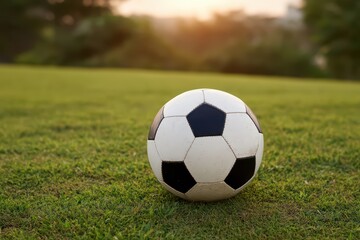 Fototapeta premium Black and White Soccer Ball on Green Grass During Sunset Light