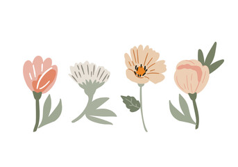 Obraz premium Floral botanical set of hand drawn flowers in pastel colors. Vector illustration for design, flat style.