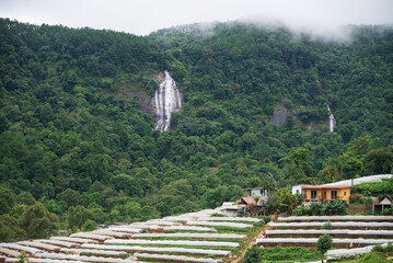Beautiful morning view of Siriphum Waterfall at Doi Inthanon, Chom Thong District, Chiang Mai Province, Thailand.