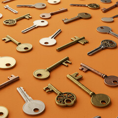 Naklejka premium set of keys