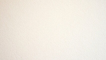 Fototapeta premium Off-White Textured Background with Subtle Grain