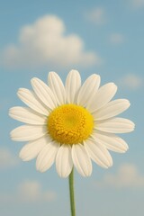 A single white daisy with a bright yellow center stands tall against a soft blue sky with gentle white clouds