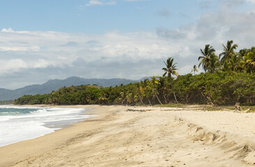tropical beach with palm trees