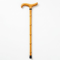 Bamboo walking cane isolated on white background