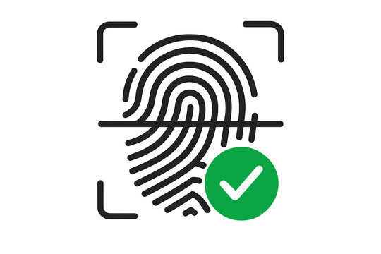 Vector fingerprint biometric authentication icon with green success check mark. ID verification app symbol for secure mobile login, access granted, identity security interface design