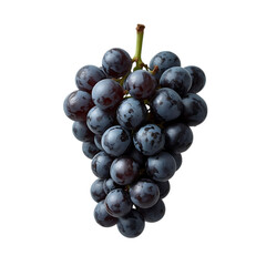 Fototapeta premium A ripe bunch of dark purple grapes with a green stem isolated on transparent background