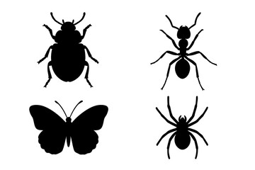 Insect Silhouette Collection, Diverse Bug Species, Educational Vector Set of 4—Beetle, Ant, Butterfly, Spider—Black Insect Icons for Nature, Science, Biology, Entomology Projects