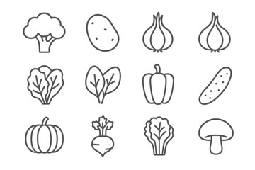 Vector line icon set of 4 vegetables including broccoli, potato, onion, garlic, lettuce, spinach, pepper, cucumber, pumpkin, turnip, celery, cabbage, mushroom, thin outline pictograms