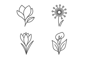 Set of 4 Elegant Flower Line Icons: Magnolia, Dandelion, Crocus, Calla Lily. Minimalist Botanical Vector Illustrations, Thin Linear Style, Floral Pictograms for Design and Decoration