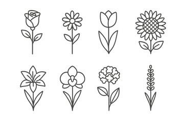 Minimalist Flower Line Icons Set. Vector Outline Illustrations of Rose, Daisy, Tulip, Sunflower, Lily, Orchid, Hydrangea, Lavender. Thin Linear Floral Symbol Collection