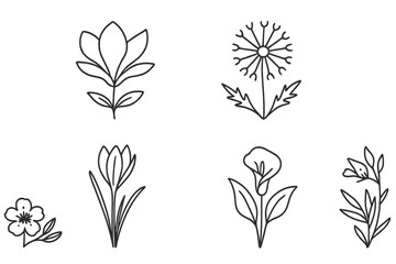 Minimalist Line Art Flowers Vector Set. Magnolia, Dandelion, Crocus, Calla Lily, Azalea, Anemone, Bird of Paradise, Floral Icons, Botanical Outline, Modern Thin Linear Style