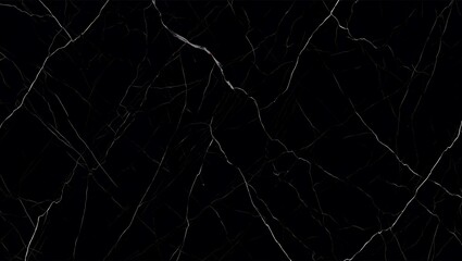 Elegant black marble texture with white veins abstract background