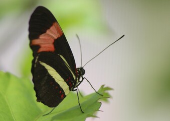 Complexo Mirante Caldas, Chapada do Araripe, Barbalha, Ceará, Brasil