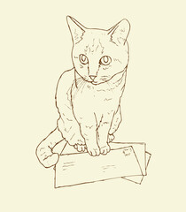 Vintage drawing of a sitting cat on postal letters