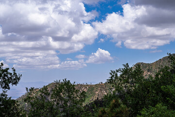 The rugged Catalina Mountains is a summer oasis for residents of the Sonoran Desert to escape the heat at 9000 feet above sea level