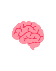 human brain isolated on white background